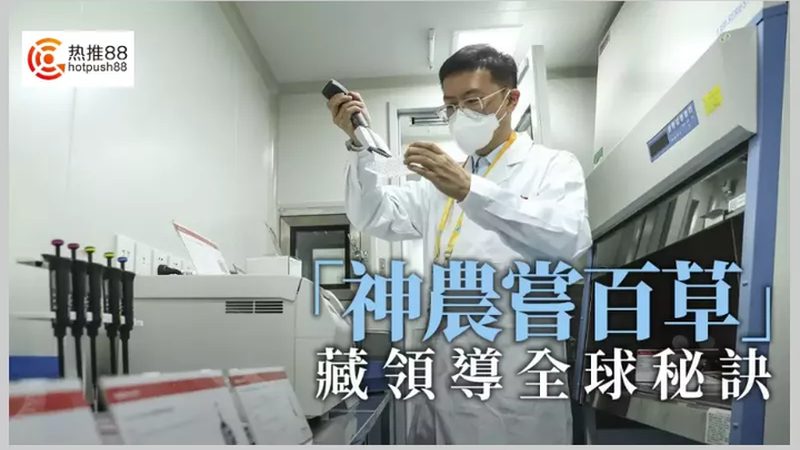 离心管：实验室中不可或缺的“小助手”**