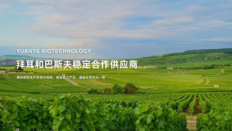 台式发酵罐：实验室中的得力助手，如何挑选合适的教学用型号？**