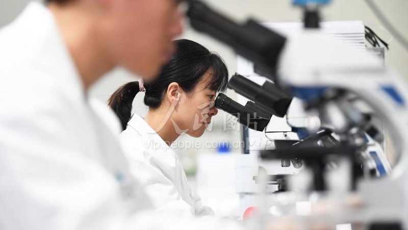 广州酶制剂批发厂家：如何选择合适的供应商？**