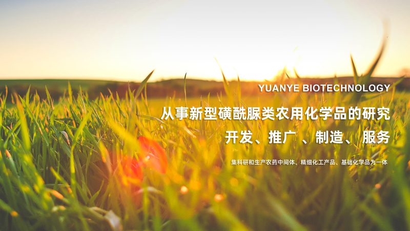 ADC药物与免疫治疗：优缺点对比解析