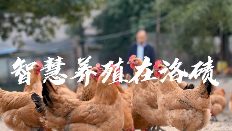 生物制品注册申报周期：揭秘其关键环节与影响因素**