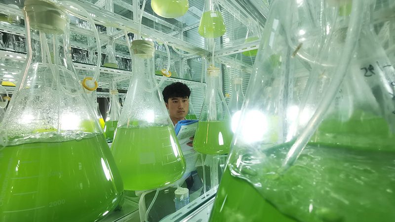 精准诊断，肺癌治疗新起点：基因检测套餐如何选择？**